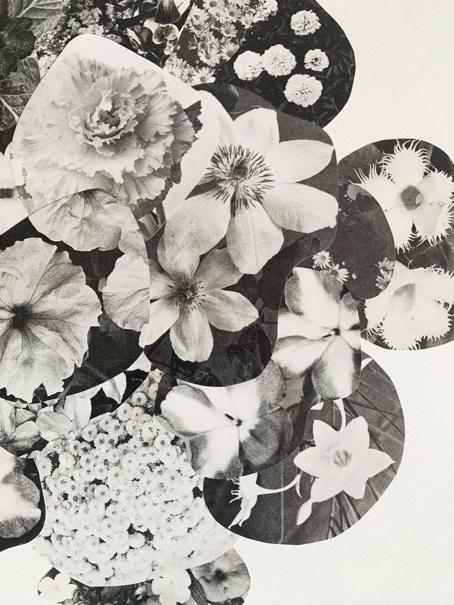 'the flowers' - original collage (FRAMED)